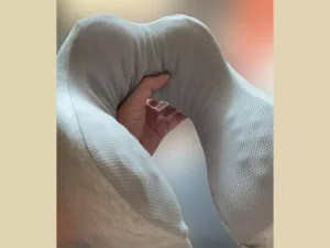 بالش ماساژ گردن شیائومی Orthopedic pillow headrest Xiaomi 8H Neck pillow U2